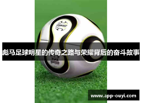 彪马足球明星的传奇之路与荣耀背后的奋斗故事