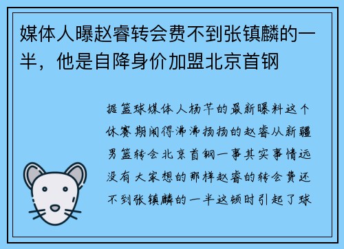 媒体人曝赵睿转会费不到张镇麟的一半，他是自降身价加盟北京首钢